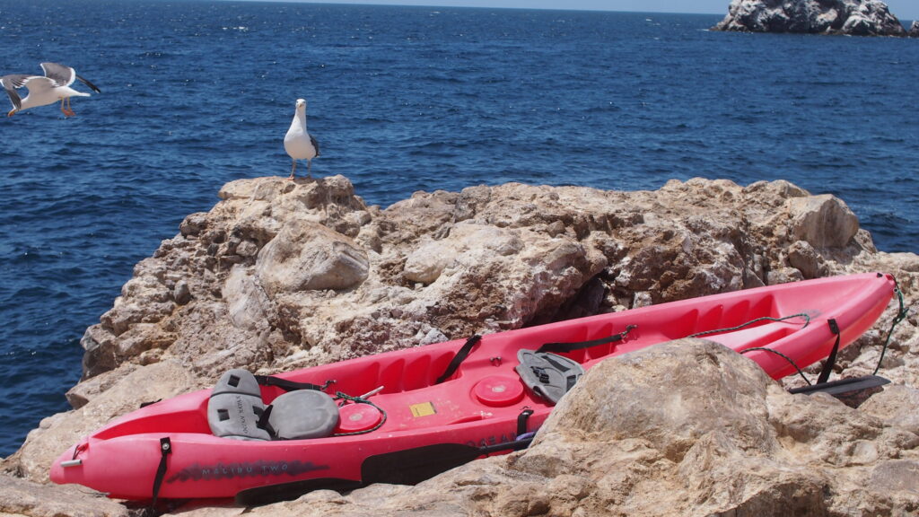 Trail Head Kayak Landing