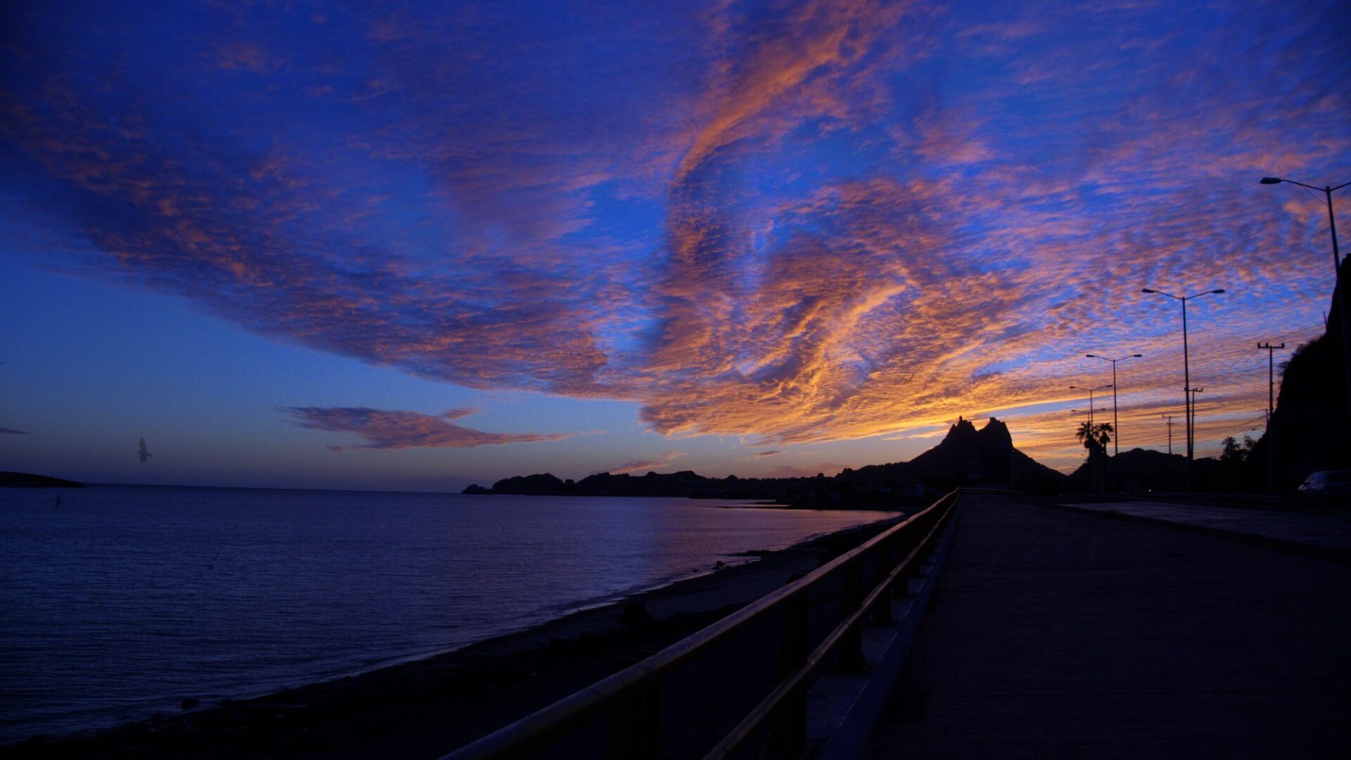San Carlos